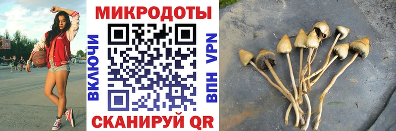 Псилоцибиновые грибы ЛСД  Сыктывкар 